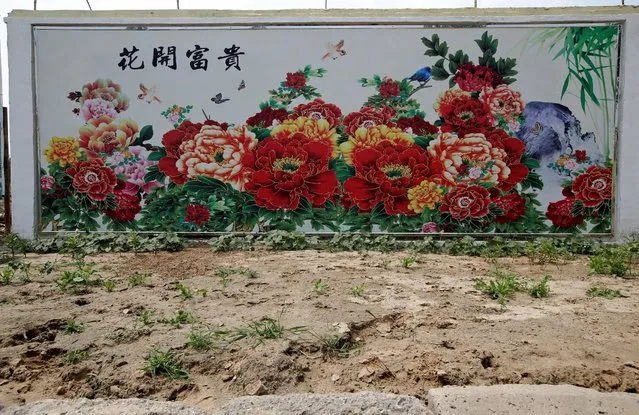 A flower wall painting is seen in an area where land is sinking next to a coal mine in the deserted Liuguanzhuang village of Datong, China's Shanxi province, August 1, 2016. (Photo by Jason Lee/Reuters)