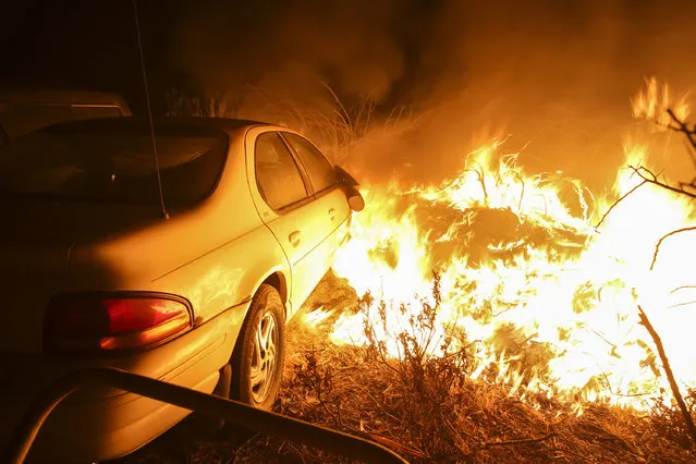 Flames burst next to a car as the Blue Cut wildfire rages near Cajon Pass, north of San Bernardino, California on August 16, 2016. (Photo by Ringo Chiu/AFP Photo)