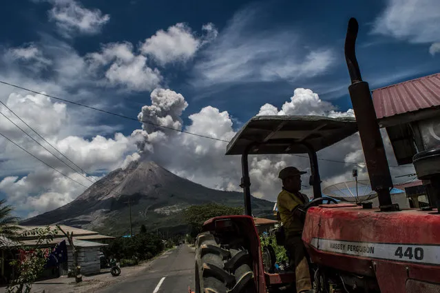Seen the tractor on the road with the backround Sinabung volcano during eruption in Naman village, Namanteran subdistrict, Karo, North Sumatra province, Indonesia on October 05, 2017. Sinabung volcano is the one from 130 volcanoes in highest activities were now on alaert status as mount Agung in Bali. (Photo by Sutanta Aditya/Barcroft Images)