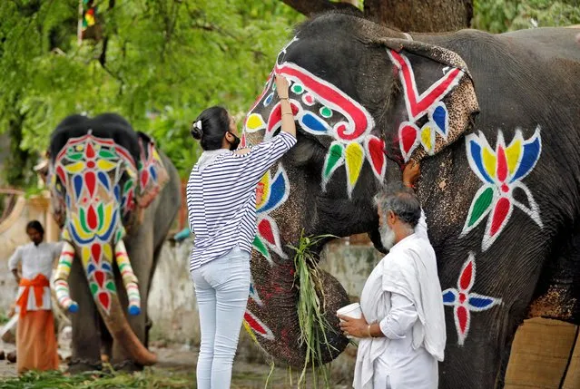 A woman decorates an elephant with colours on the eve of the annual Rath Yatra, or chariot procession, in Ahmedabad, India, June 22, 2020. (Photo by Amit Dave/Reuters)