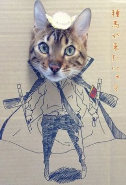  Kitty Cosplay With Guagua the Cat