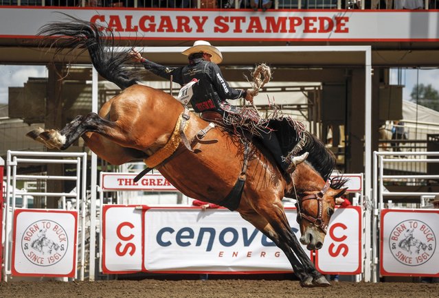 Lefty Holman, of Visalia, Calif., rides Crocket during saddle bronc rodeo action at the Calgary Stampede in Calgary, Alberta, Sunday, July 6, 2025. (Photo by Jeff McIntosh/The Canadian Press via AP Photo)