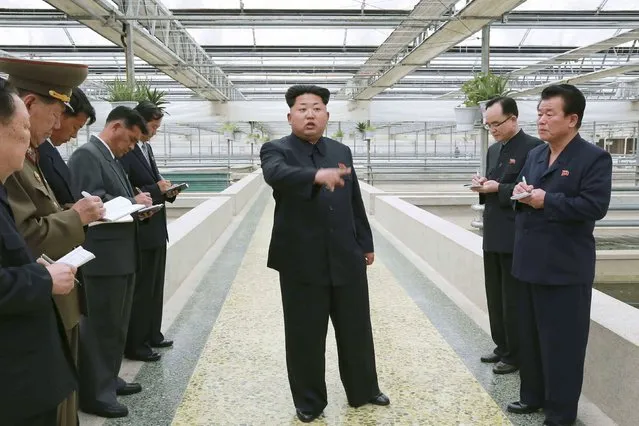 North Korean leader Kim Jong Un gives field guidance to the Taedonggang Terrapin Farm in this undated photo released by North Korea's Korean Central News Agency (KCNA) in Pyongyang on May 19, 2015. (Photo by Reuters/KCNA)
