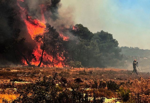 A firefighter battles a wildfire that erupted in a forest near the village of Agalas on Zakynthos Island, Ionian Sea, Greece, 12 August 2025. According to a briefing from the Fire Brigade, due to a change in the direction of strong winds blowing on the island of Zakynthos, the flames have reached the yards of houses on the outskirts of the village of Agalas, where strong firefighting forces are trying to contain the flames. (Photo by Costas Synetos/EPA)
