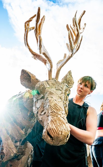 «The Herds», a life-size animal puppet group, interrupts a performance by the Manchester Camerata during the launch of the Manchester International Festival on July 03, 2025 in Manchester, England. These life-size animal puppets travel from the Congo Basin to the Arctic Circle to flee climate disaster. (Photo by Shirlaine Forrest/WireImage)