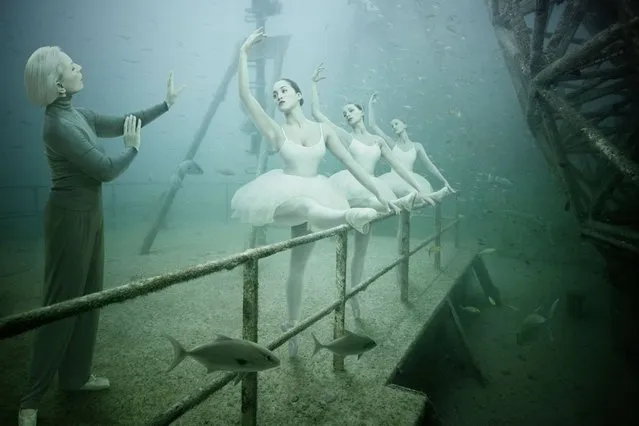 Vandenberg Project by Andreas Franke