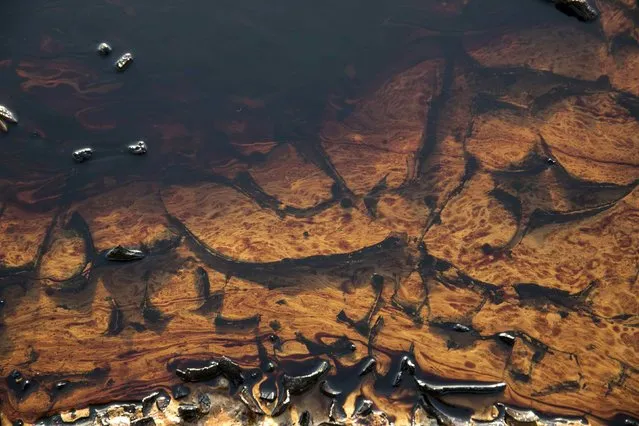 The polluted area caused by an oil spill is seen at the Evrona desert reserve, near the Red Sea resort city of Eilat December 10, 2014. Ecologists said on Wednesday it could take years to clean up the massive oil spill that flooded an Israeli nature reserve with up to five million litres of crude and threatened to spread to the Red Sea shore and neighbouring Jordan. (Photo by Baz Ratner/Reuters)