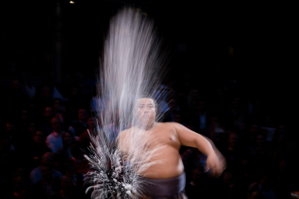 Some Photos: In Motion