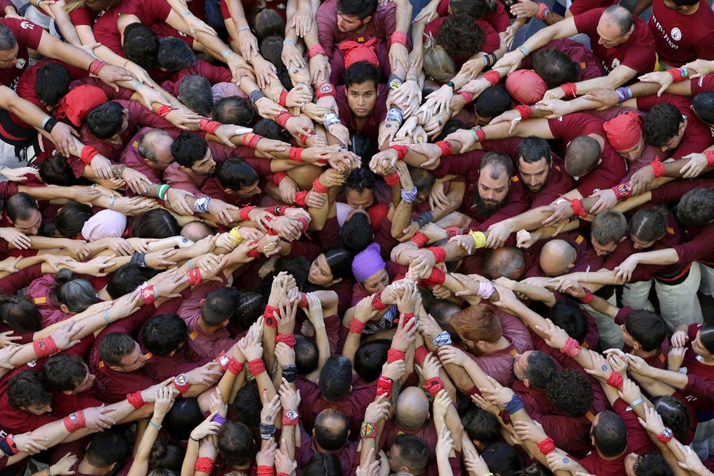 Pictures of the Year 2024, Part 193/240