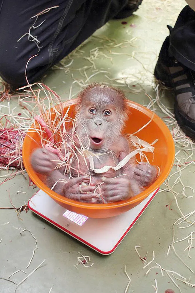 The Week in Pictures: Animals, January 16 – January 22, 2015