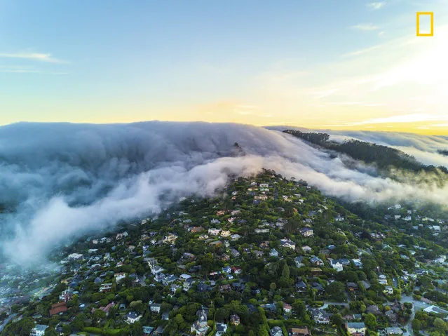 Fog Taking Over a Town During Sunset. “I decided to take a cross-country trip by myself, and it was one of the most amazing experiences I have had. Seeing our country and how much it has to offer was magical. This was Sausalito, Calif., being overwhelmed by fog. It was amazing to watch from above. This was taken with a drone”. (Photo by Ricky Batista/National Geographic Travel Photographer of the Year Contest)