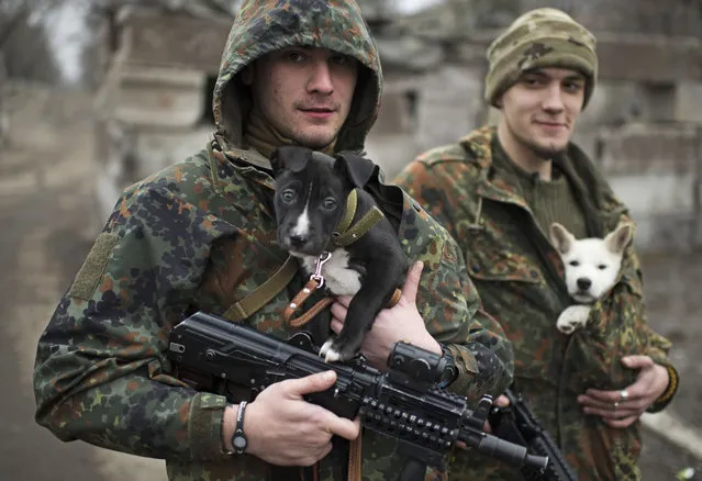 Ukrainian servicemen put their dogs under the jackets to keep them warm in Mariupol, Ukraine, Wednesday, January 28, 2015. (Photo by Evgeniy Maloletka/AP Photo)