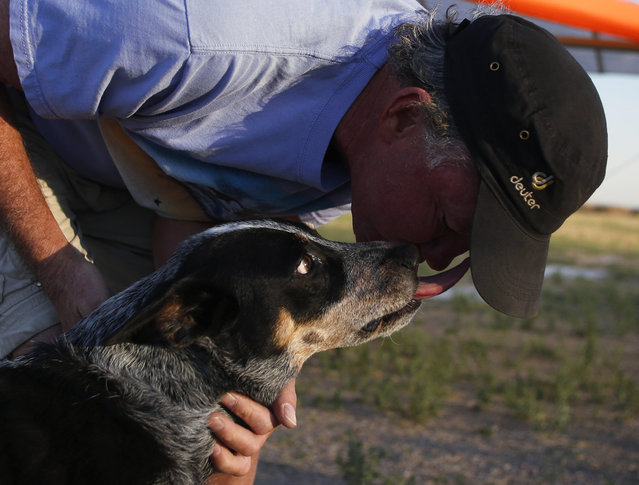 Dan McManus gets a kiss from his service dog Shadow after they flew in a hang glider together outside Salt Lake City, Utah, July 22, 2013. (Photo by Jim Urquhart/Reuters)