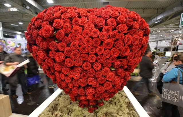 Visitors pass a heart made of red roses at the international trade fair for plants IPM in the city of Essen, Germany, Thursday, January 29, 2015. (Photo by Martin Meissner/AP Photo)