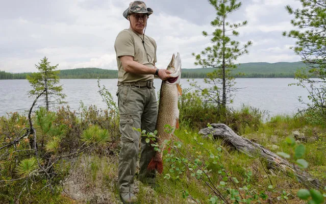 This picture made available on July 26, 2013 shows Russian President Vladimir Putin holding a huge pike fish, after he caught it in the Tyva region on July 20, 2013 during his vacation. (Photo by Alexey Druzhinin/AFP Photo/Ria-Novosti)