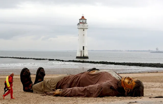 A lifeguard passes one of Royal Deluxe's giant marionette puppets as it lies on the beach at New Brighton, Britain, October 5, 2018. (Photo by Darren Staples/Reuters)