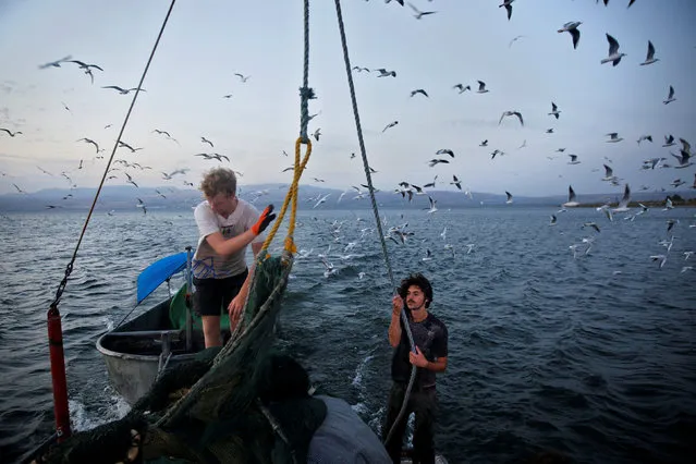 International volunteers work on a fishing boat in the Sea of Galilee, northern Israel November 20, 2016. (Photo by Ronen Zvulun/Reuters)