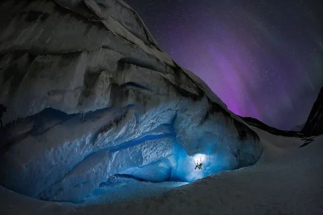 A pair of ice climbers have been snapped in front of a stunning aurora. Mike Stuart and Takeshi Tani were climbing the Athabasca Glacier in Alberta, Canada, when the aurora lit up the nights sky. They were photographed by famed night-time photographer Paul Zizka, who specialises in photographing auroras in some of Canadas most beautiful parks. (Photo by Paul Zizka/Caters News)