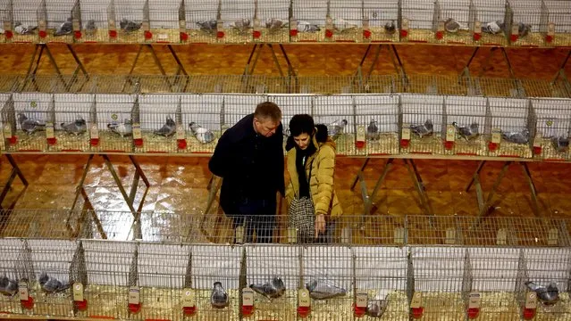 Members of the public look at the cages containing the pigeons at the British Homing World Show of the Year in the Winter Gardens, Blackpool, Britain, on January 20, 2024. (Photo by Carl Recine/Reuters)