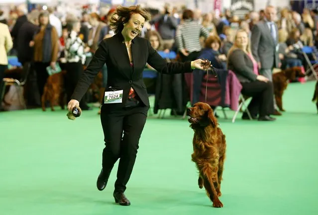 Dee Milligan-Bott who claimed her dog was poisoned at Crufts 2015, shows an Irish Setter the second day of the Crufts Dog Show in Birmingham, Britain March 11, 2016. (Photo by Darren Staples/Reuters)