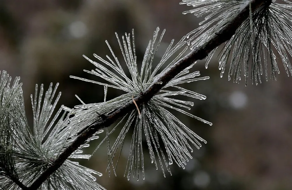 US Weather: “Oh, Not Again!”