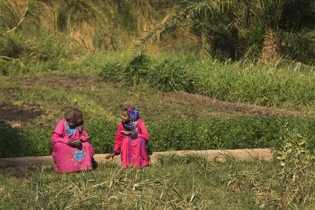 In this Friday, April 17, 2015 photo, Amira, wife of Salama Osman, and her daughter Ghada, talk about music playing on their cell phones while resting on the family plot of land, about 770 kilometers (480 miles) south of Cairo. Osman, 46, is on one of his two trips a year back home to the village, a rare respite from his hectic job back in the always-bustling Egyptian capital. (Photo by Hiro Komae/AP Photo)