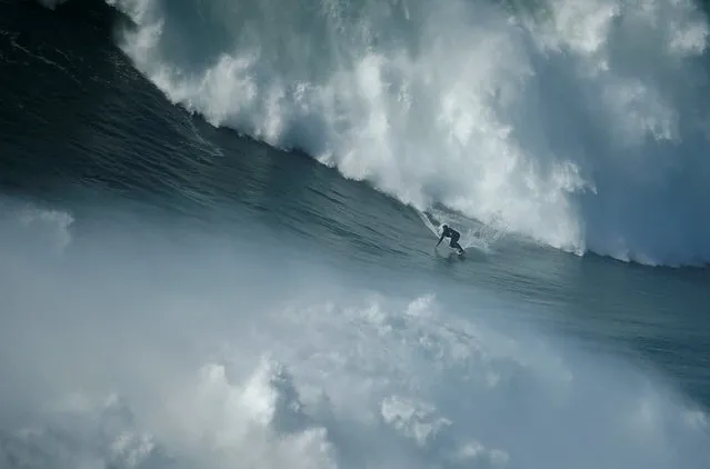 A surfer drops in on a large wave at Praia do Norte in Nazare, Portugal, February 10, 2017. The Praia do Norte beach has become a famous beach for big wave surfers around the world since Hawaiian surfer Garrett McNamara set a world record for the largest wave surfed in 2011. (Photo by Rafael Marchante/Reuters)
