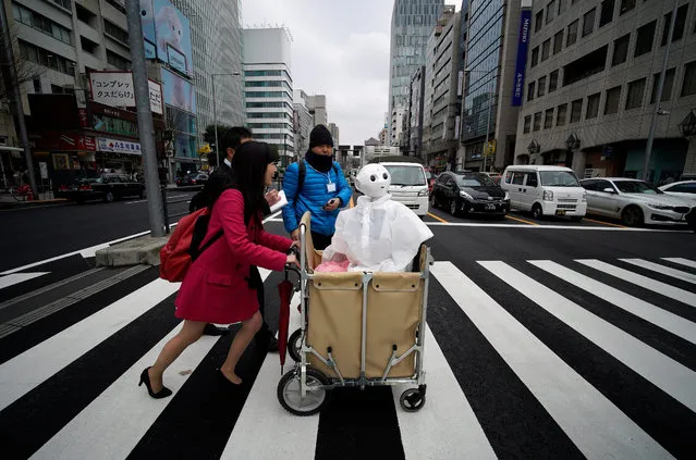 Tomomi Ota pushes a trolley loaded with her humanoid robot Pepper as she crosses a street in Omotesando shopping district in Tokyo, Japan, 24 March 2016. Telecommunications and mobile phone carrier SoftBank Corp. opened a robot-staffed store where 10 Pepper humanoid robots welcome customers looking to buy a mobile phone. The store will be opened until 30 March 2016. (Photo by Franck Robichon/EPA)