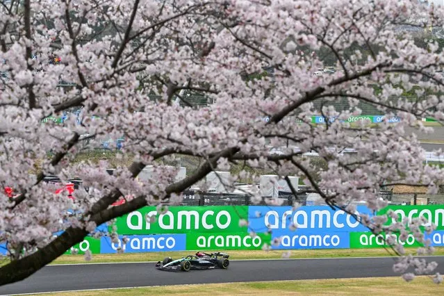 Mercedes' British driver Lewis Hamilton drives while seen past cherry blossom trees during the second practice session ahead of the Formula One Japanese Grand Prix race at the Suzuka circuit in Suzuka, Mie prefecture on April 5, 2024. (Photo by Yuichi Yamazaki/AFP Photo)