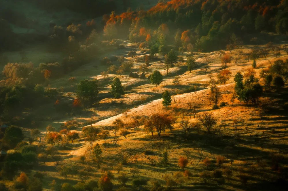 The Beautiful Landscapes by Alex Robciuc