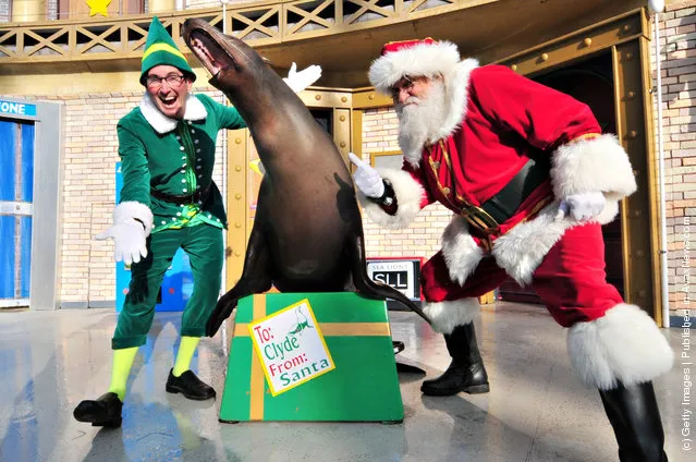 Santa Claus poses with Clyde the Sea Lion at SeaWorld San Diego
