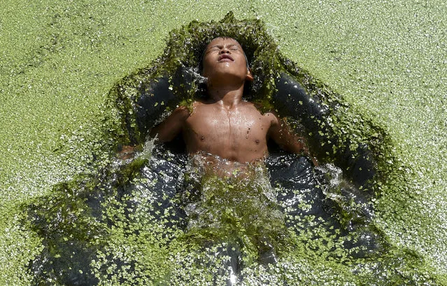 A boy jumps in a pond covered with algae at Kirtipur on the outskirts of Kathmandu, Nepal on August 23, 2019. (Photo by Prakash Mathema/AFP Photo)