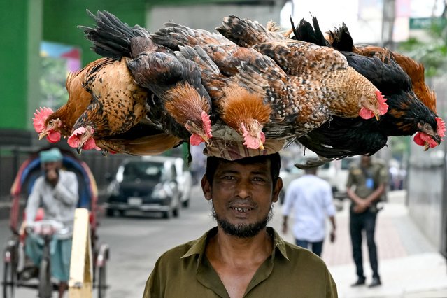 A labourer carries roosters to a poultry shop in Dhaka on August 14, 2024. (Photo by Indranil Mukherjee/AFP Photo)