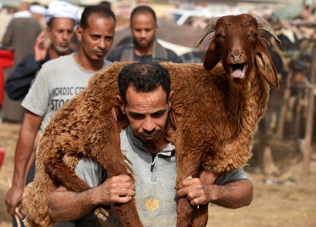 A vendor carries a sacrificial animal after selling it to a customer at a livestock market, ahead of the Muslim festival of sacrifice Eid al-Adha, in Al Qalyubia Governorate, Egypt on June 10, 2024. (Photo by Mohamed Abd El Ghany/Reuters)