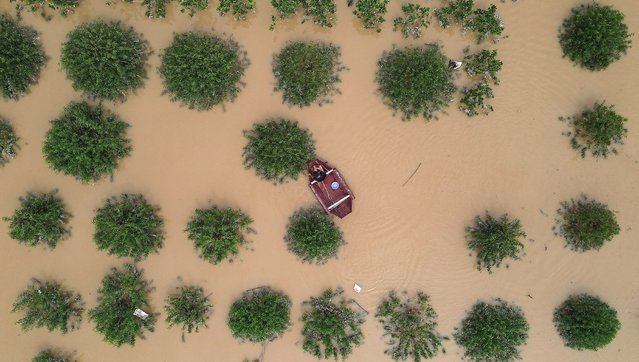 This aerial view shows a man removing trash from a submerged peach field in Hanoi on September 12, 2024, as heavy rains in the aftermath of Typhoon Yagi brought flooding to northern Vietnam. (Photo by Nhac Nguyen/AFP Photo)