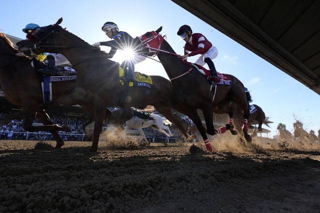 Riders compete in the Breeders' Cup Classic horse race in Del Mar, Calif., Saturday, November 2, 2024. (Photo by Gregory Bull/AP Photo)