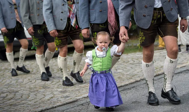 One and a half year old Maria, wearing a traditional Dirndl dress, walks with her father during the Assumption Day procession in Kochel am See, Germany, 15 August 2015. In Christian belief, Asssumption Day celebrates the end of Virgin Mary's earthly life and her assumption to heaven. (Photo by Peter Kneffel/EPA)