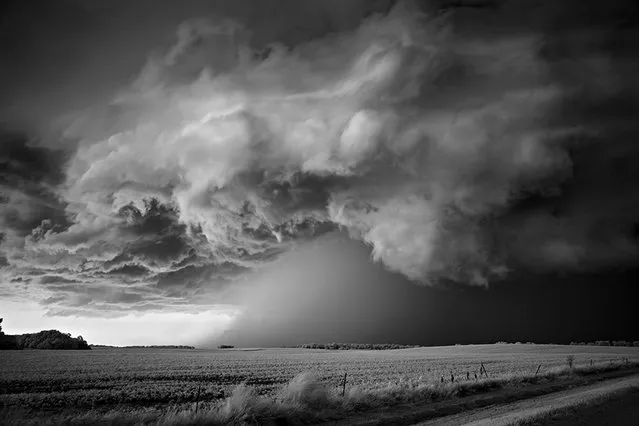 Storms can leave a trail of devastation. On the way back from chasing one storm, Dobrowner saw 100 miles of corn decimated. Here: “Storm over Field”, Lake Poinsett, S.D., 2010. (Photo by Roger Hill)