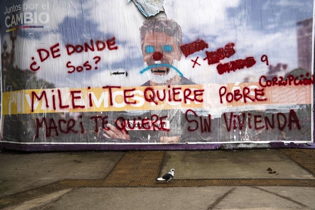 A pigeon stops next to a damaged electoral banner a block away from a polling station during general elections in Buenos Aires, Argentina, Sunday, October 22, 2023. (Photo by Rodrigo Abd/AP Photo)