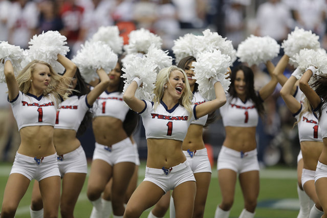 Houston Texans cheerleaders perform during the third quarter of an NFL football game against the Tennessee Titans, Sunday, September 15, 2013, in Houston. (Photo by David J. Phillip/AP Photo)