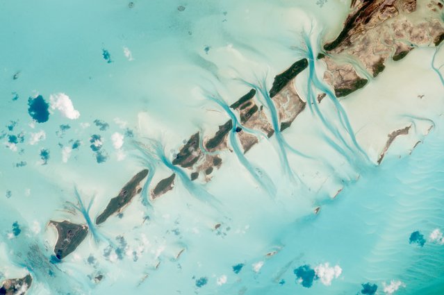 The small island cays and the prominent tidal channels cutting between them in the Bahamas is pictured in this NASA handout photo taken by an astronaut aboard the International Space Station on July 19, 2015. (Photo by Reuters/NASA)