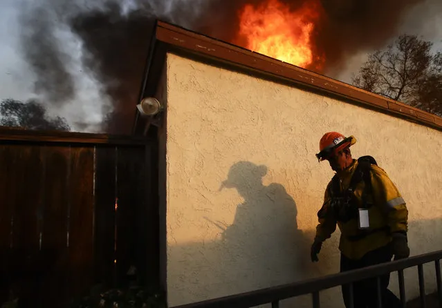 A Los Angeles County firefighter walks past burning house during a wildfire in the Lake View Terrace area of Los Angeles Tuesday, December 5, 2017. Ferocious winds in Southern California have whipped up explosive wildfires, burning a psychiatric hospital and scores of other structures. Tens of thousands of people have been ordered evacuated. (Photo by Chris Carlson/AP Photo)