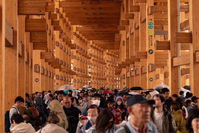 Visitors walk in the Grand Ring wooden structure during the Expo 2025 Osaka, Kansai, Japan on April 13, 2025 in Osaka, Japan. (Photo by Tomohiro Ohsumi/Getty Images)