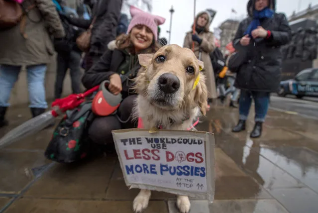 A women's rights demonstrator with her dog Elsie during the Time's Up rally at Richmond Terrace, opposite Downing Street on January 21, 2018 in London, England. The Time's Up Women's March marks the one year anniversary of the first Women's March in London and in 2018 it is inspired by the Time's Up movement against sexual abuse. The Time's Up initiative was launched at the start of January 2018 as a response to the #MeToo movement and the Harvey Weinstein scandal. (Photo by Chris J. Ratcliffe/Getty Images)
