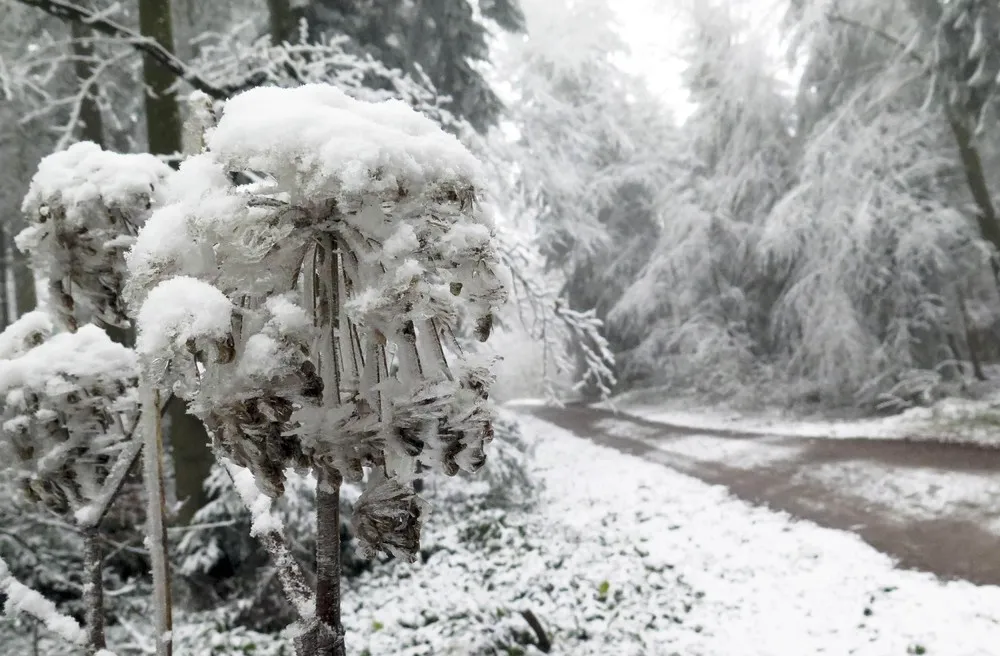 Europe Faces Cold Winter