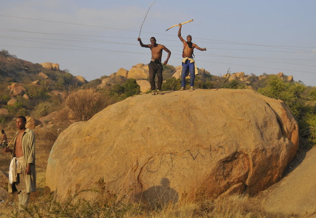 Residents cheer as initiates return home after undergoing the koma rite of passage in Moletjie, Limpopo province, on July 19, 2025. The traditional practice, which includes circumcision for boys and men, is a key event on the region's cultural calendar. Girls also take part in separate initiation programmes focused on preparing them for womanhood. Since June, 529 initiation schools have been registered in Limpopo, with more than 25,000 initiates. Officials say the province recorded the lowest fatality rate in the country this season, with two deaths linked to medical conditions, including epilepsy. (Photo by Lucas Ledwaba/AFP Photo)