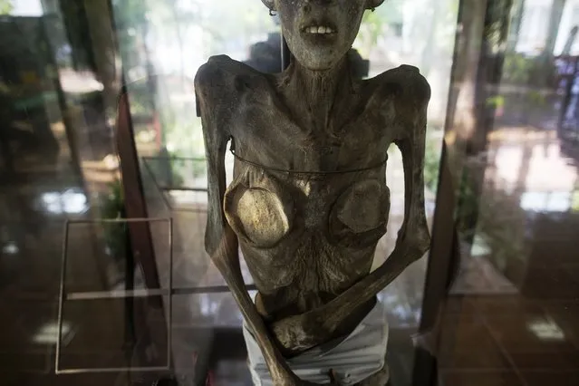 A preserved body of an AIDS victim is displayed in a museum at the Buddhist temple Wat Prabat Nampu in Lopburi province, north of Bangkok November 30, 2014. (Photo by Damir Sagolj/Reuters)