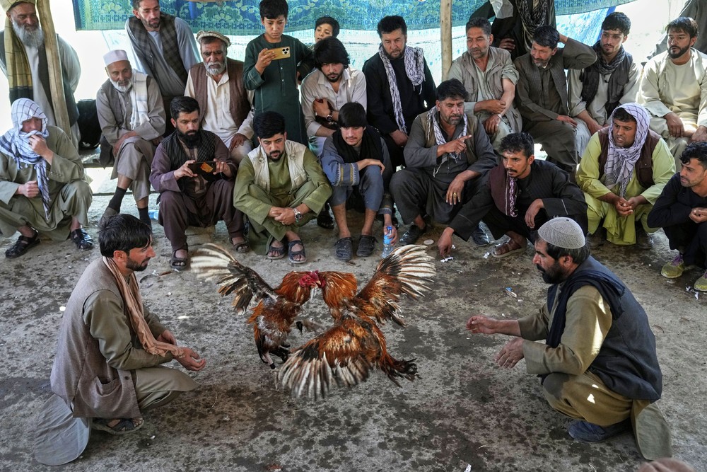 A Look at Life in Afghanistan