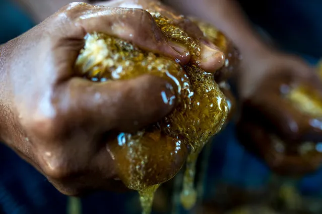 As the honey is so difficult to obtain and is rare, it’s very expensive. (Photo by Hasnoor Hussain/The Guardian)