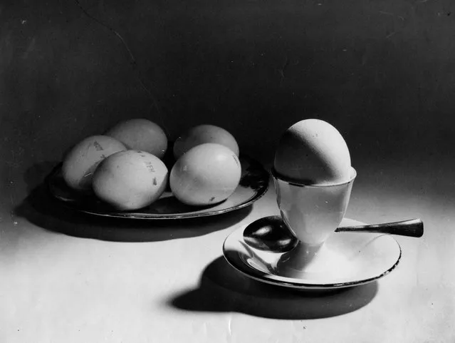 Dietary Eggs, 1939. Alexander Khlebnikov founded the Innovator Photography Club and was a pioneer of still life photography. This image of a plate of eggs is one of a number he took throughout the 1930s of household objects – from fabric to pumpkin seeds to milk bottles. (Photo by Alexander Khlebnikov/Lumiere Brothers Center for Photography)